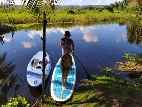 Method Living Tropical Edition 50024