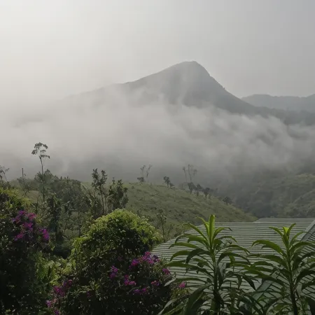 The Kissing Mountains
