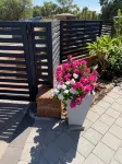 West Swan B&B - B&B