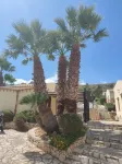 Hotel Grotticelli Hotels in Scopello