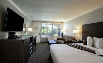 Palm Garden Hotel