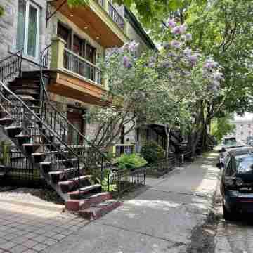 Lofts Jacques-Cartier Free Parking Hotel Exterior