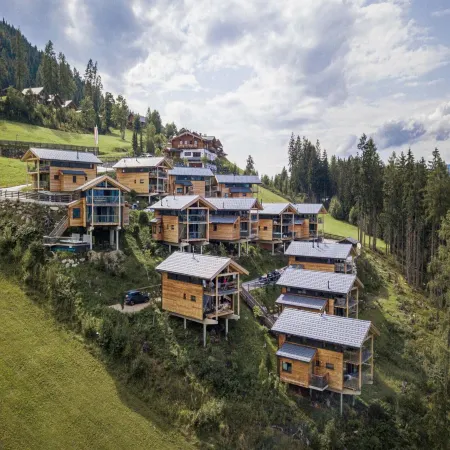 Premium Chalet with Infrared Sauna