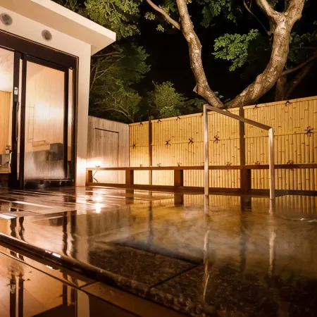 Hakone Kowakien Mikawaya Ryokan