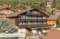 Alpenkräuter Hotel Bären فنادق في وينجن