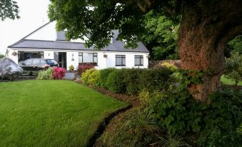 Mountain View Guesthouse