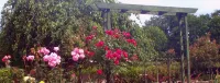Perrymount Country Home Bed & Breakfast - วิลล่า