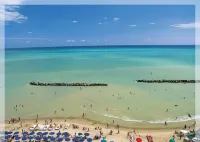 Sea Lion Hotel Hotels in Montesilvano