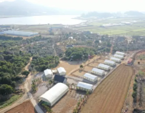 Jangheung Taengdaengi Glamping