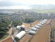 Jangheung Taengdaengi Glamping Hotels in Jangheung-gun