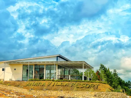 Anara Villa Resort Отели в г. Остров Самосир