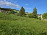 Hotel Zum Kreuz Hotels in Sankt Margen
