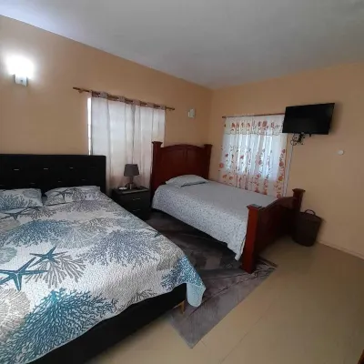 Jomp Turners' Guest Apartments Các khách sạn ở 