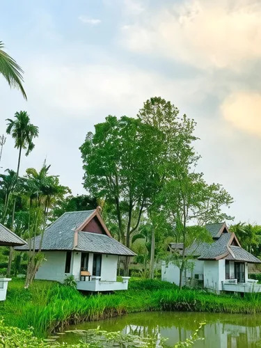 รูปภาพของบุระ ลำปาย รีสอร์ท