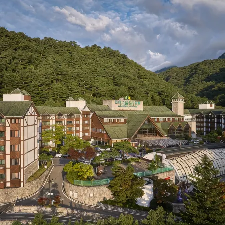 Osaek Greenyard Hotel