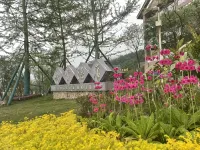 Yingxue Hotel Hotels in Dayi County