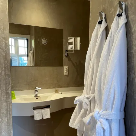 Hotel Montanus