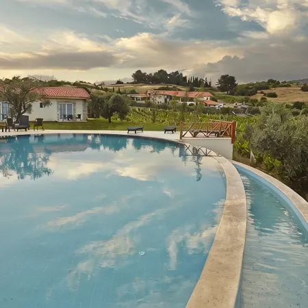 Vinifera Vineyards Hotel