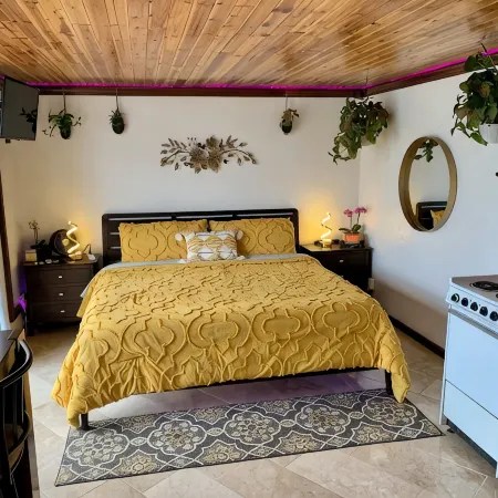 Waikiki Magic; Full Kitchen Studio Condo with WiFi, AC, Mountain & Canal Views