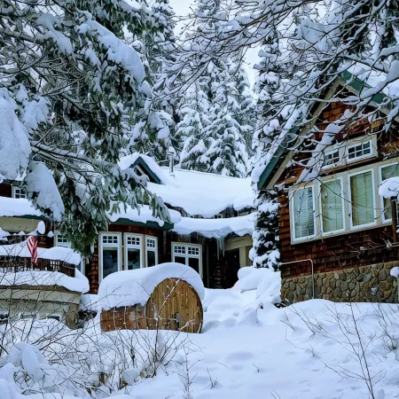 Trout Lake Treehouse - A large, splendid, and private mountain home!