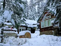 Trout Lake Treehouse - A large, splendid, and private mountain home!