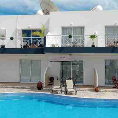 Kato Paphos Suites - 1-Bedroom Apartment. Pool view, WiFi & a/c. Great Location Fitness & Recreational Facilities