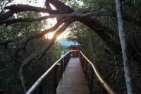 Boardwalk Lodge – Self-Catering - parking