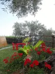 Last-Minute!Fantastic Part of Rustic in the View Onlacolline with Private Pool - 3 星級