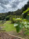 Te Henga Hideaway - Chalets