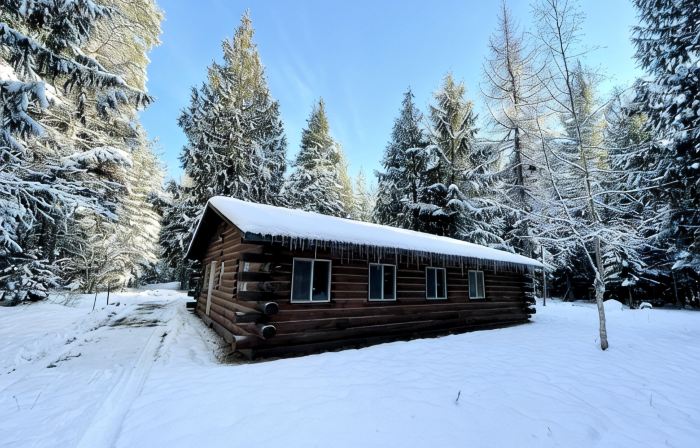 Rustic log cabin