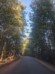 Cabin in the Woods