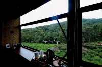 熱帶雨林生態度假旅館 - 山景