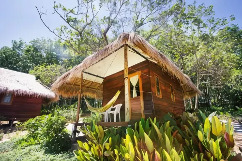 Rabbit Bungalow - Quầy bar