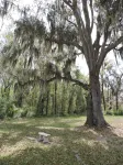 Harris Neck National Wildlife Refuge Cabin - Suite B - 3-Star