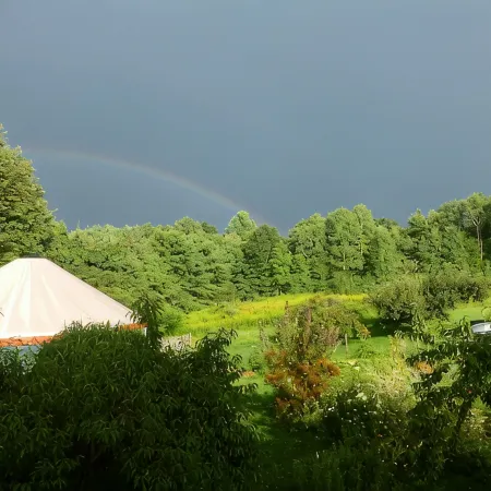 One-Of-A-Kind Yurt Surrounded by Waterfalls