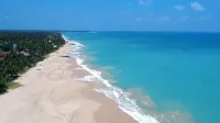 The Vitamin Sea