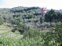 Casa Bianca Comfortable holiday residence