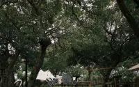 Tropical EGlamping - Yüzme Havuzu