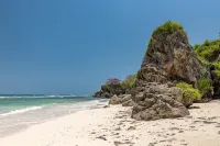Msambweni Beach House and Private Villas - Beach