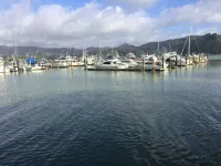Incredible harbour views, secluded four bedroom character villa, private drive - 빌라