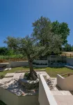 Dionysus Apartments & Suites - Afhentnings-/afleveringstjenester