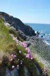 Contemporary Cottage Retreat in Secluded Valley Near Sea. Sleeps 8 - 3-Sterne