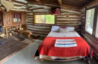 Secluded Finger Lakes Cabin Near Watkins Glen. Views,  Private Trails, Firepit
