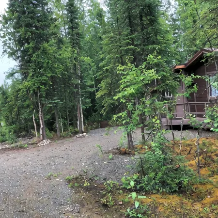 Cozy and Quiet One Bedroom Cabin 1/2 Mile Off Parks Highway Mile 57 in Houston.