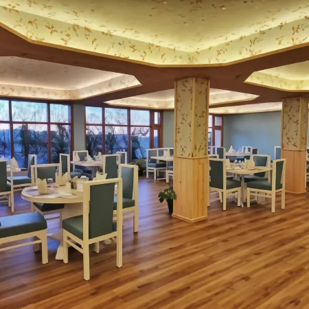 Hotel Pineview Shimla