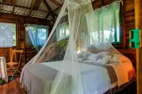 Playa Grande Lodge & Tree House - Homestay