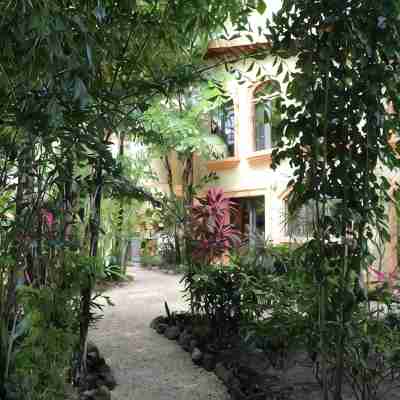 Paradise Found!  Beautiful Private Villa On The Sea in the Village of Placencia! Hotel Exterior