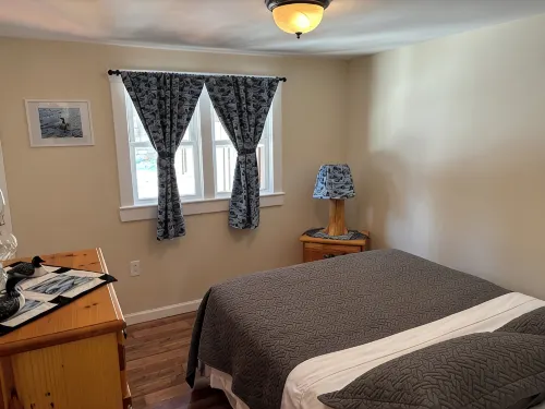 True Adirondack Retreat! Nestled in the Mountains! - Homestays