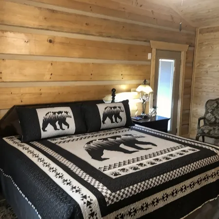 Homey Cozy Dog Friendly Cabin Surrounded by Beautiful Mountain Trees w/Hot Tub+