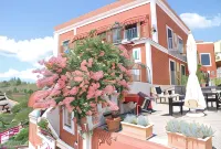 Hotel Villa Iulia - pet friendly